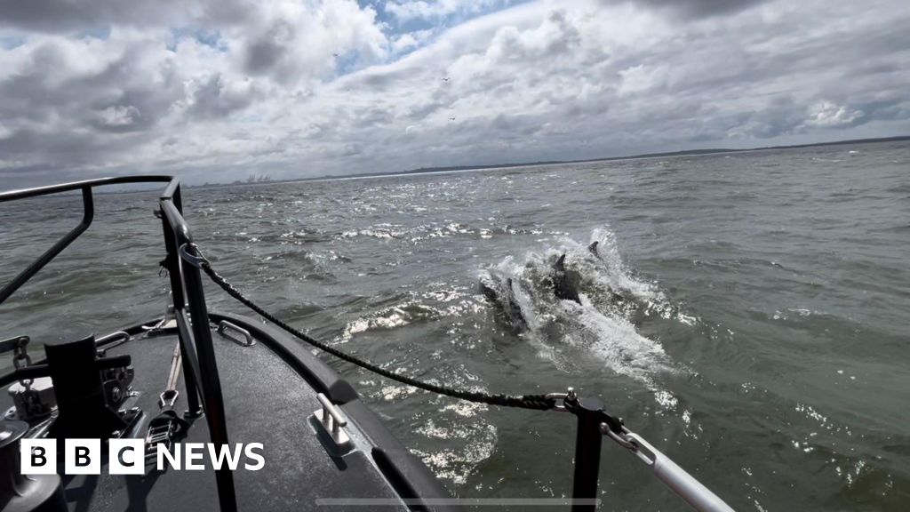 Dolphins interrupt RNLI exercise to ‘play with’ boat in Liverpool bay