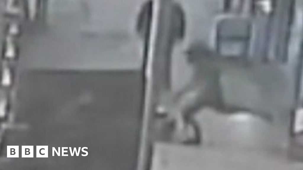 Cctv Shows Moped Riding Robber In Camera Theft Bbc News