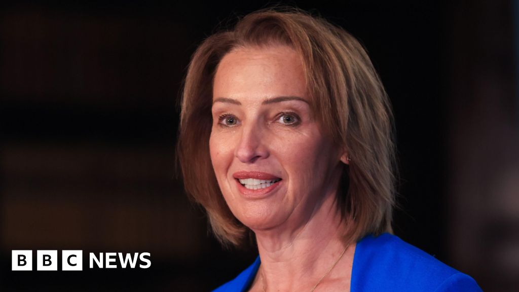 Reform MP's burka ban call was dumb, says party chair