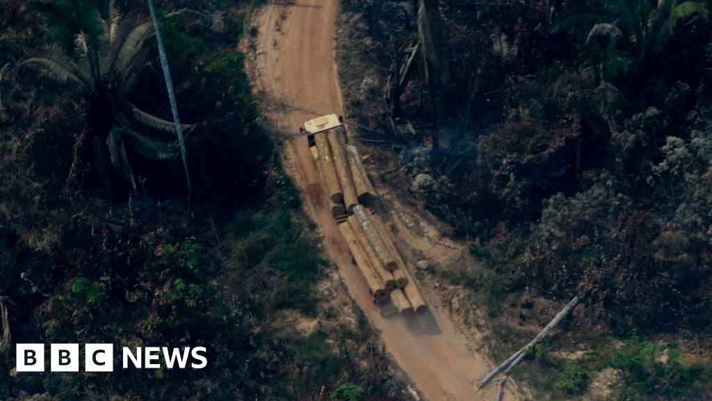 Brazil worker who protected indigenous tribes killed in Amazon