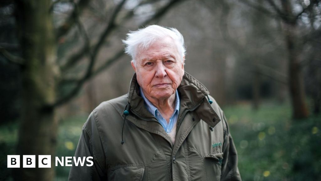 Sir David Attenborough makes stark warning about species extinction - BBC N