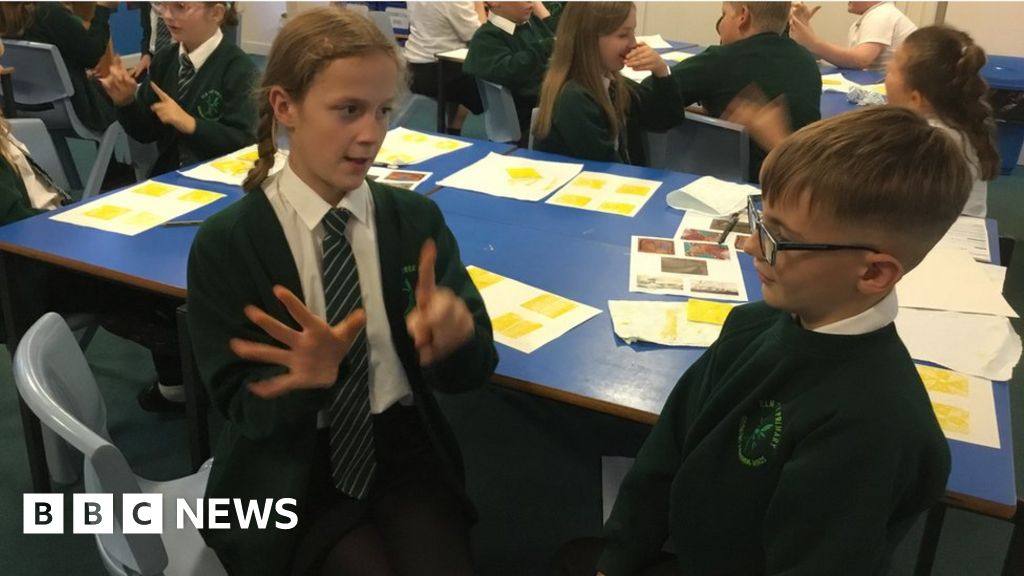 Lowestoft school replaces French with British Sign Language classes