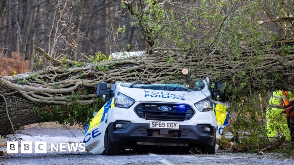 Driver by falling tree in Aberdeenshire during Storm - BBC News