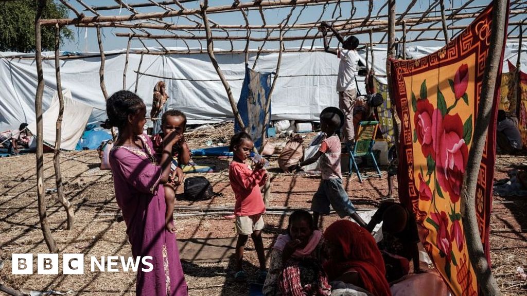 Ethiopia's Tigray crisis: UN 'alarmed' by treatment of Eritrean refugees