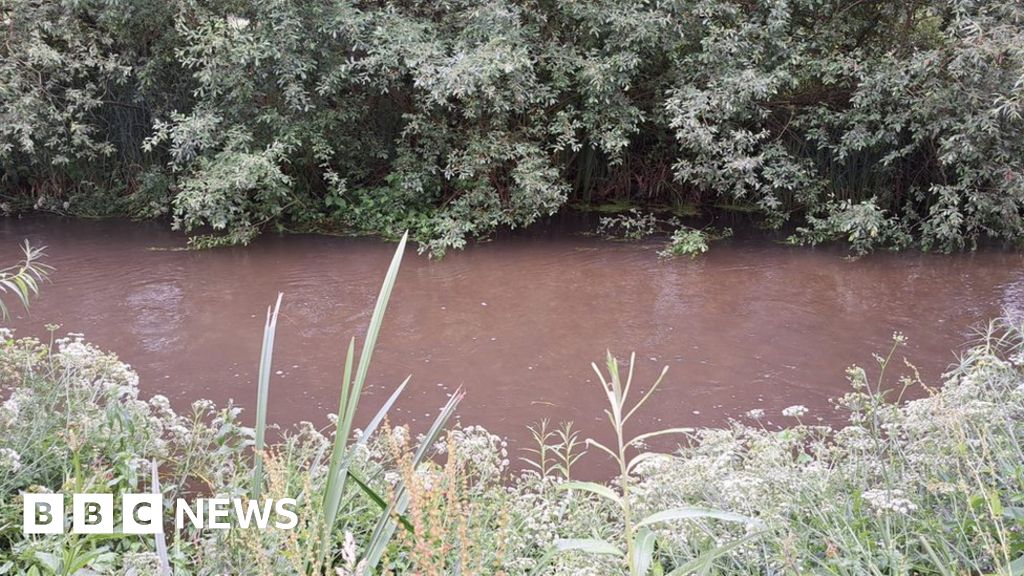 Marlborough: Sewage spill forces children to abandon river trip