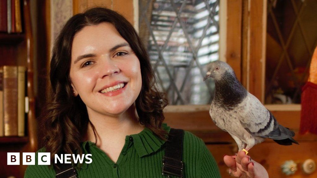 PR for pigeons: Woman's mission to give the birds a better image