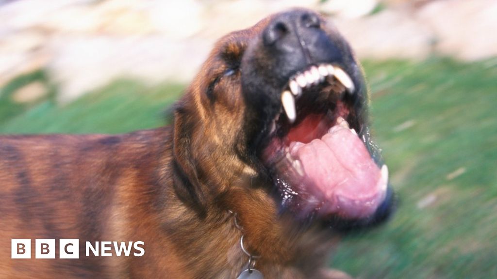 File photo of a dog barking viciously