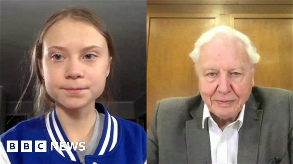 Image result for attenborough thunberg