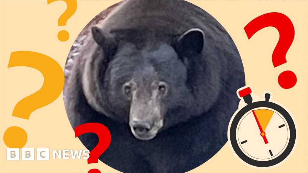 Timed Teaser: What's the burglar bear's nickname?