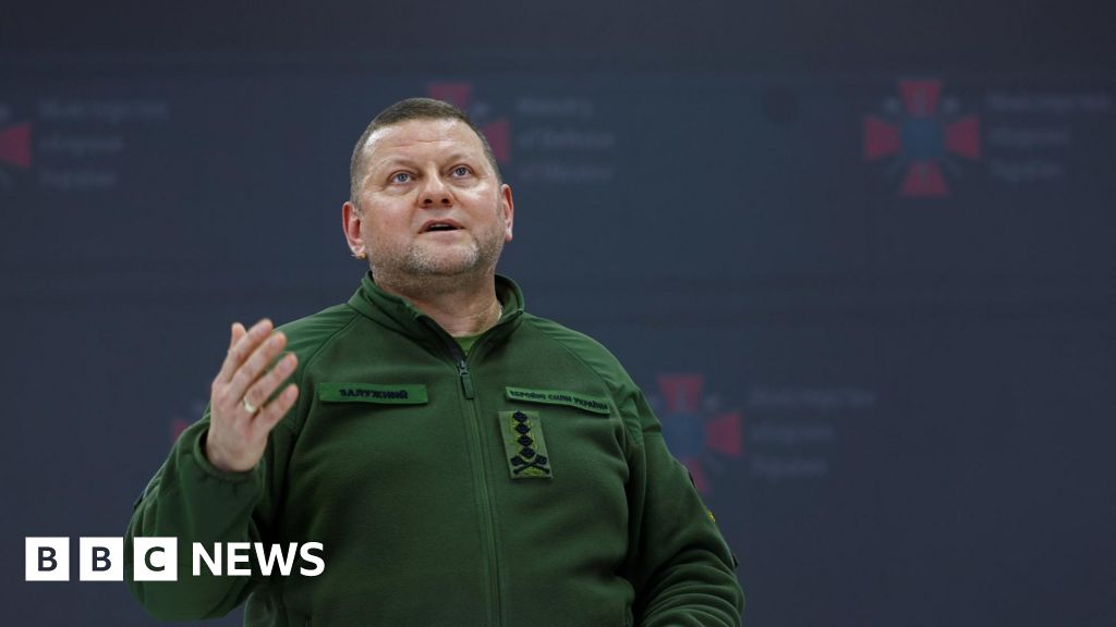Бившият командир на въоръжените сили на Украйна е назначен за