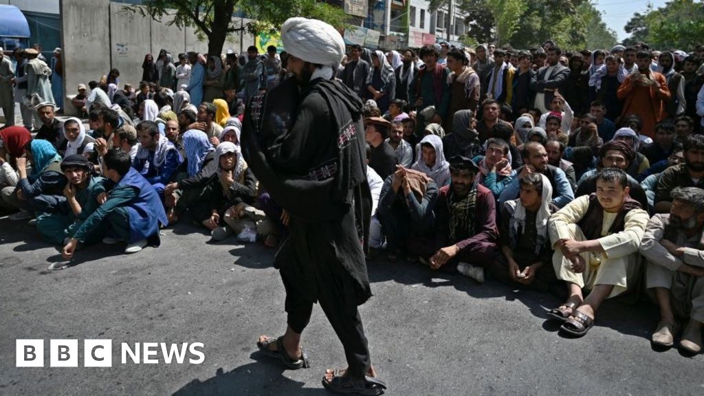 Taliban: Afghanistan bank boss warns sector near collapse