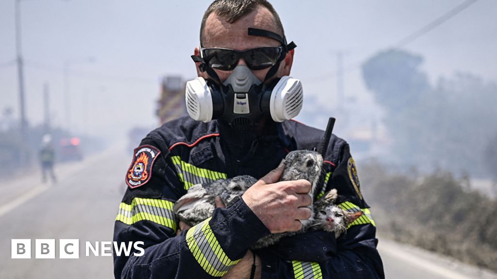Wildfires in Greece, in pictures