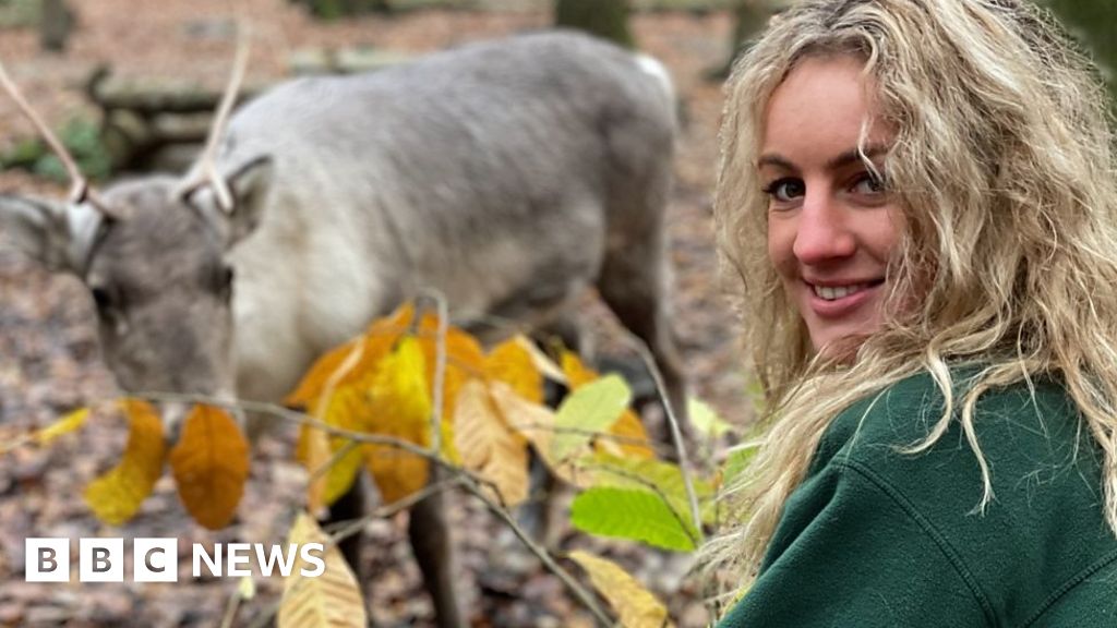 Reindeer The truth behind everyone’s favourite Christmas animal BBC News