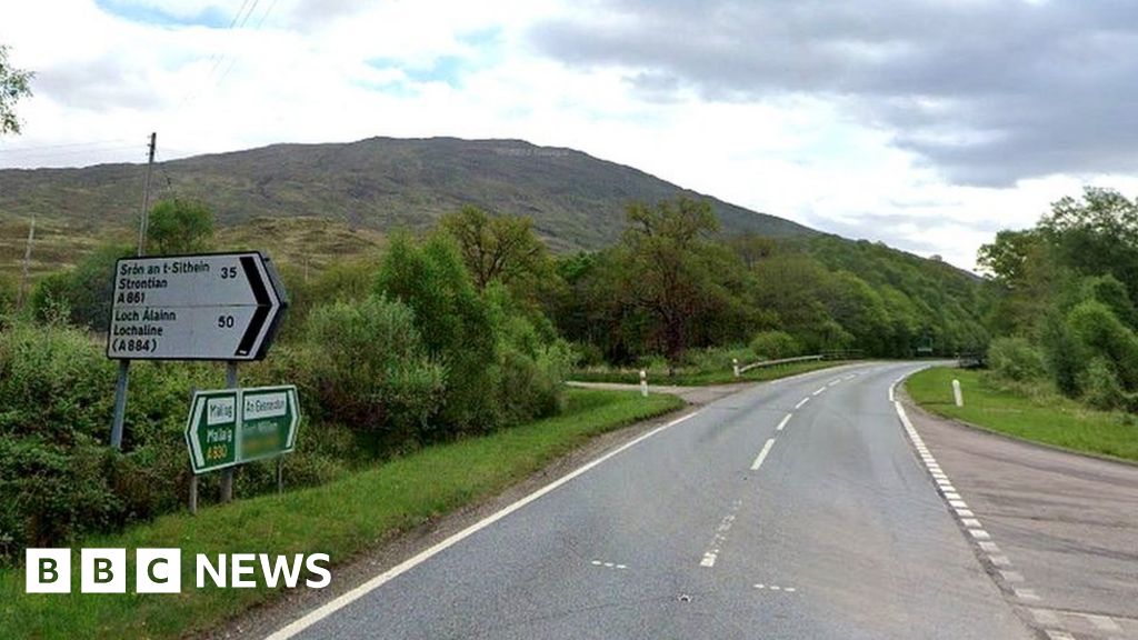 Child avoids injury as dog killed in Lochaber hitandrun