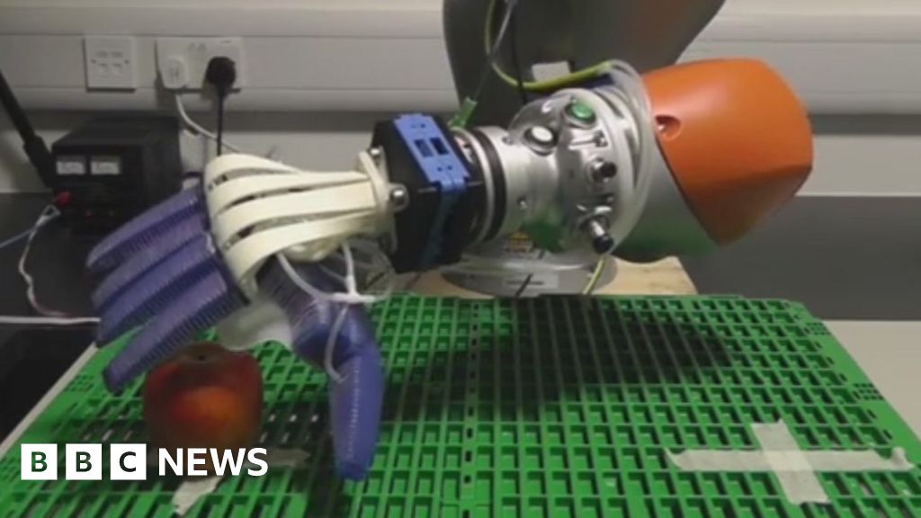 Ocado trials fruitpicking robot BBC News