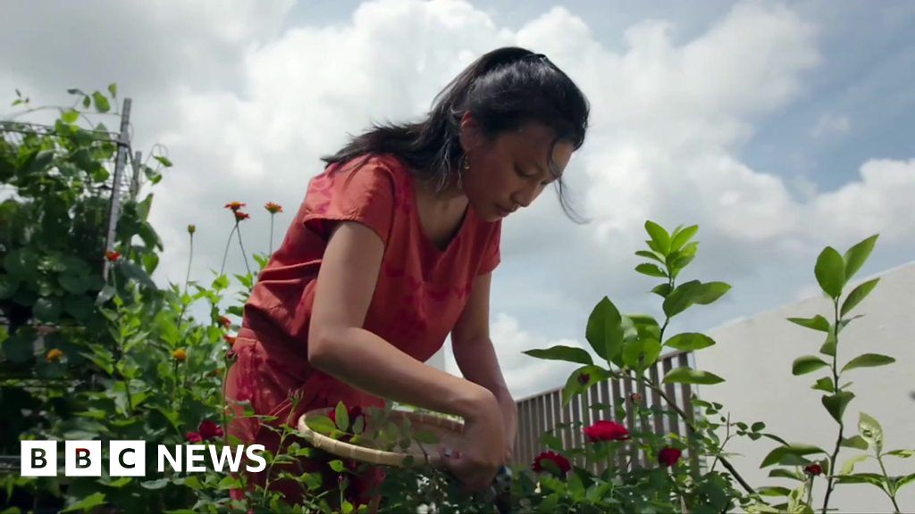 ‘Gardening gives me a lot of peace’