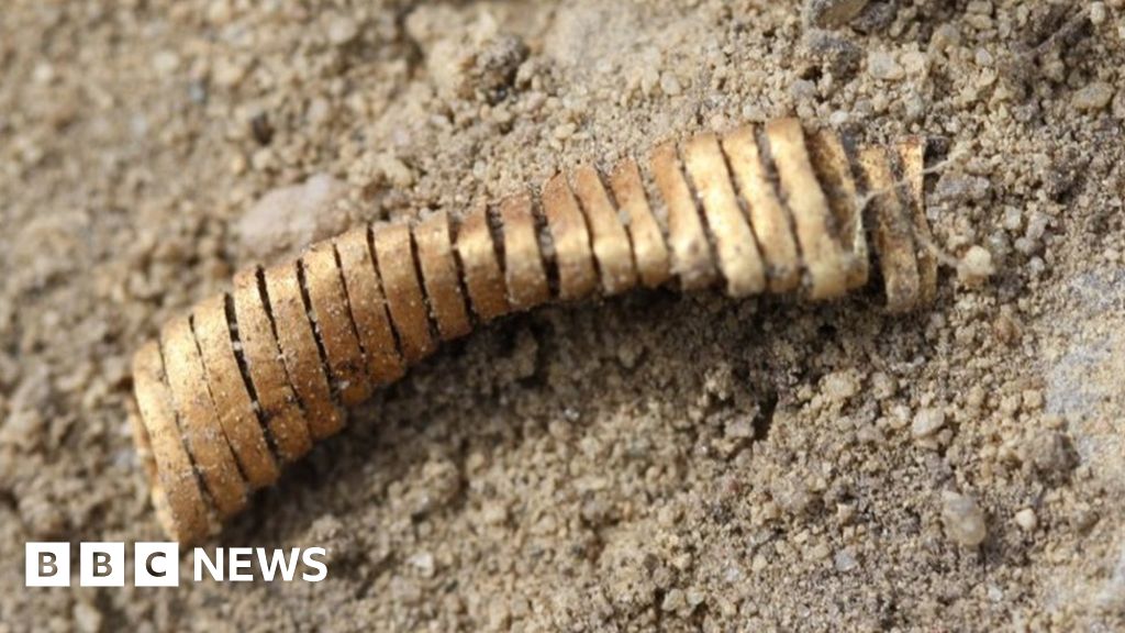Denmark: Bronze Age gold spirals unearthed in field