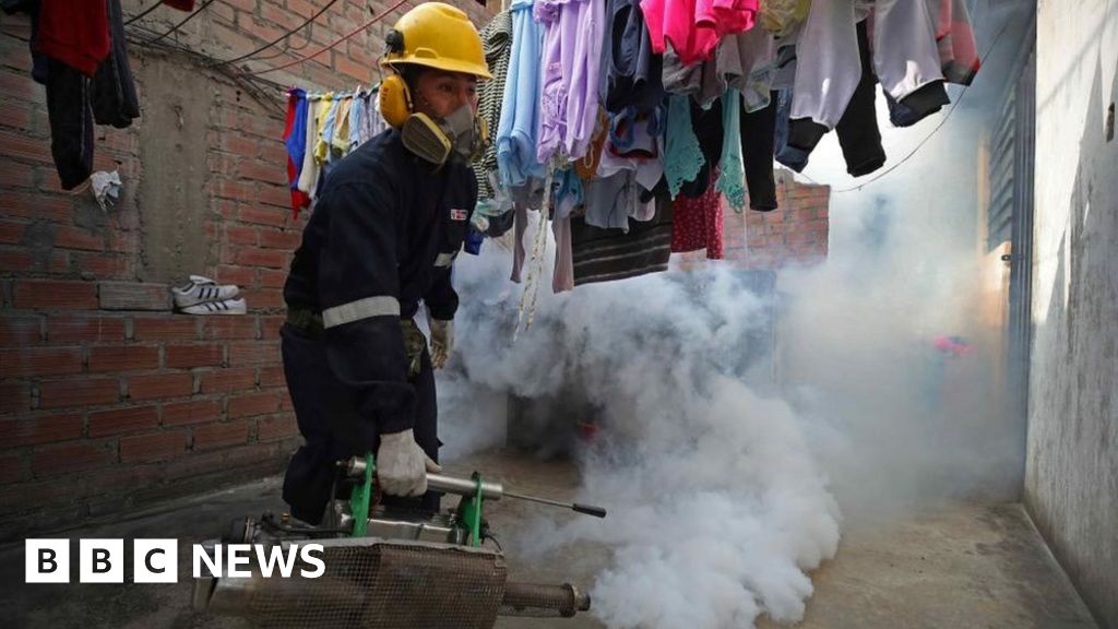 Dengue fever crisis forces Peru minister to resign