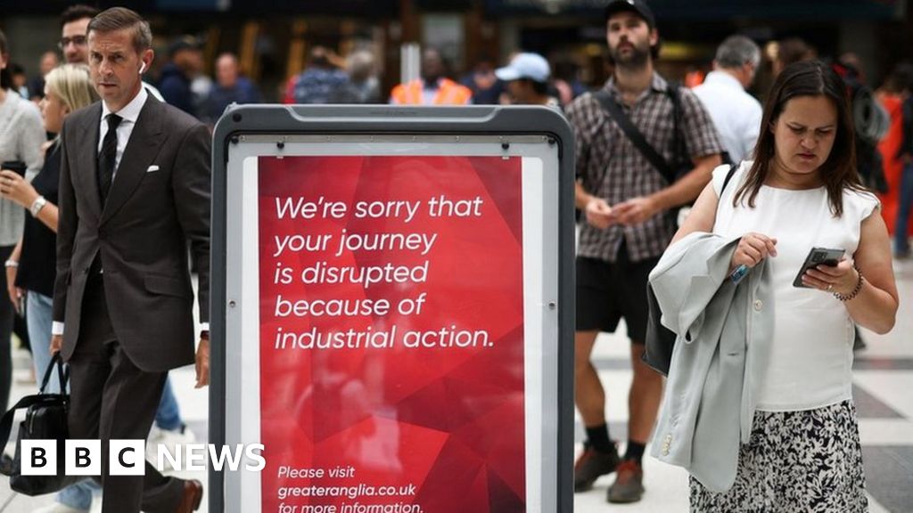 What do rail delay excuses really mean? - BBC News