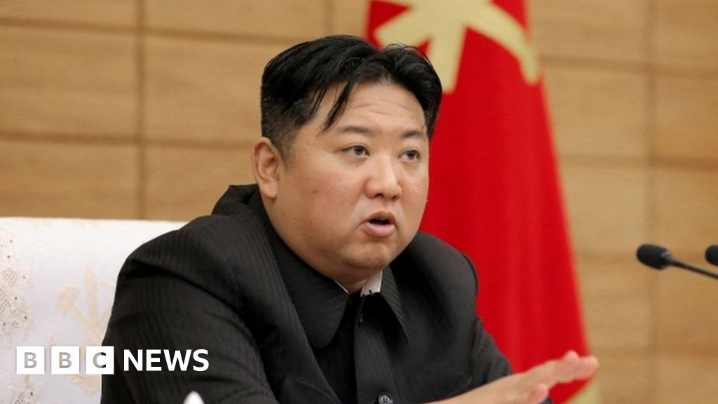 朝鮮稱科維德抵達邊境附近的 "外星物 "上