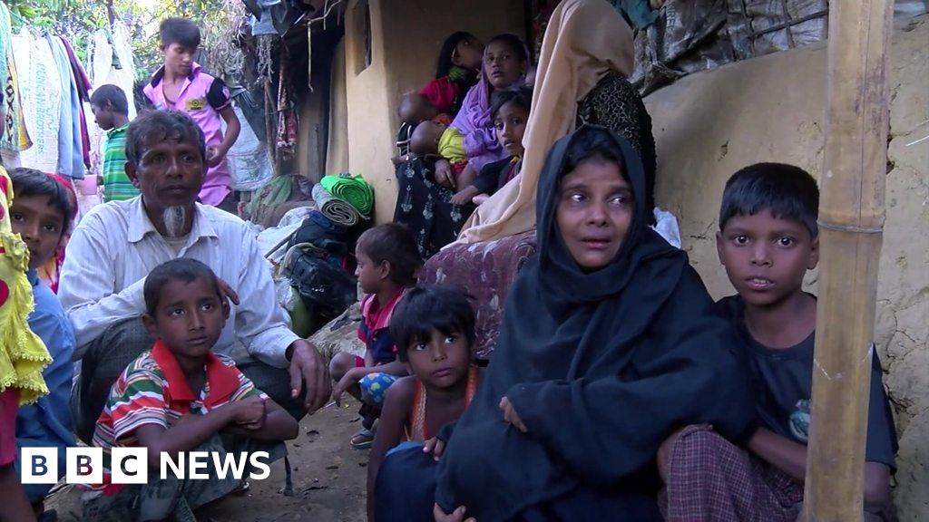 Myanmar's goal is 'ethnic cleansing' of Rohingya - UN - BBC News