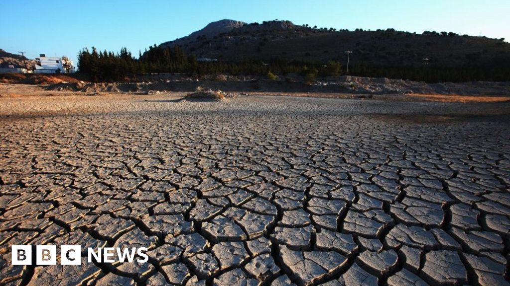 Climate change: What can I do about it and other questions - BBC News