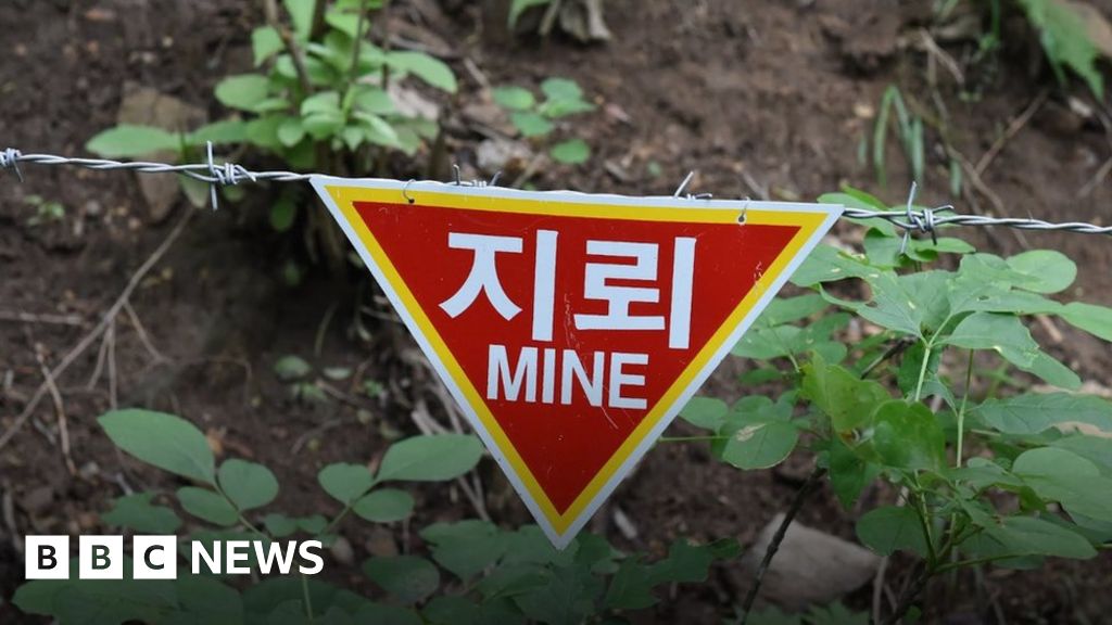 남북한의 비무장지대: 한때 유혈의 현장이었던 지금은 야생동물의 안식처