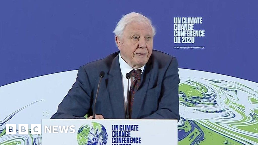 Sir David Attenborough: 'Now is the moment'