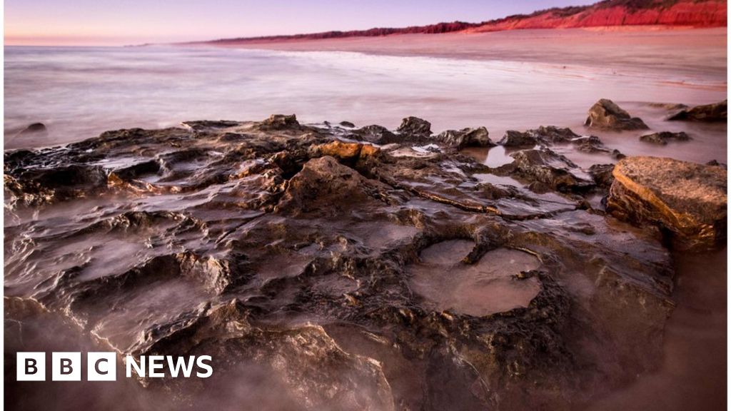 Australia's Aborigines  Did They See Dinosaurs?