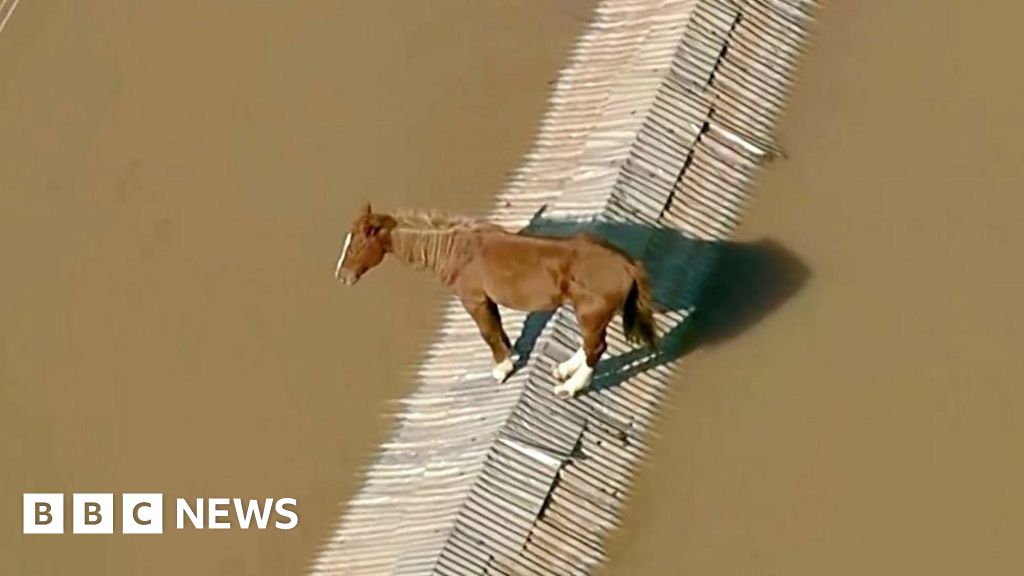 Un cheval bloqué sur un toit et des inondations dans un aéroport au Brésil