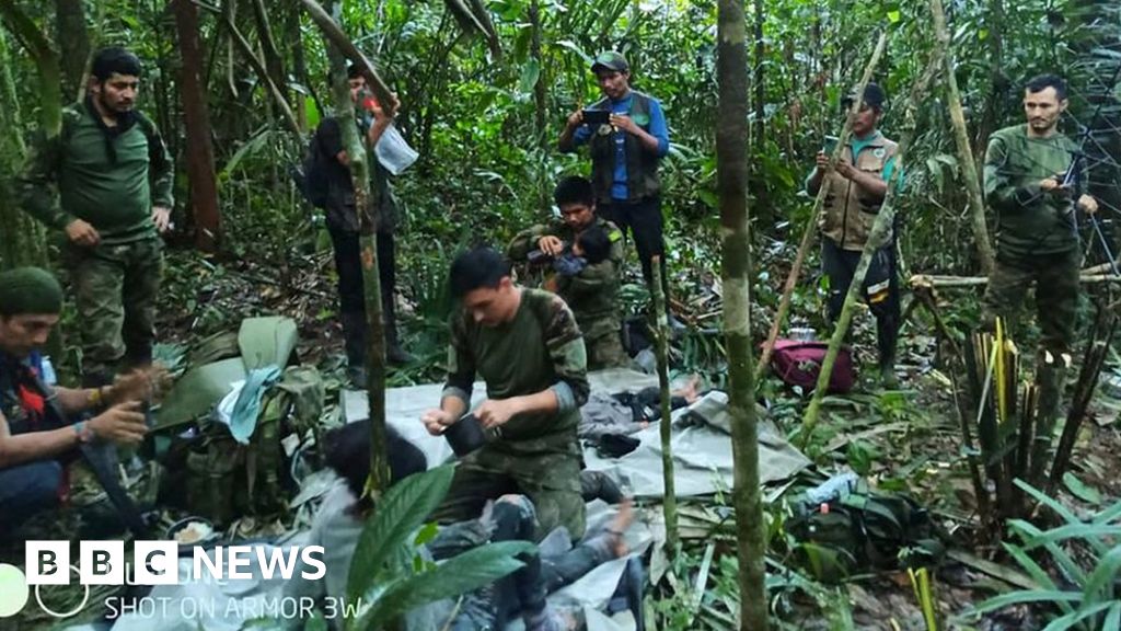 Accidente aéreo en Colombia: mamá les dijo a los niños que la dejaran y pidieran ayuda