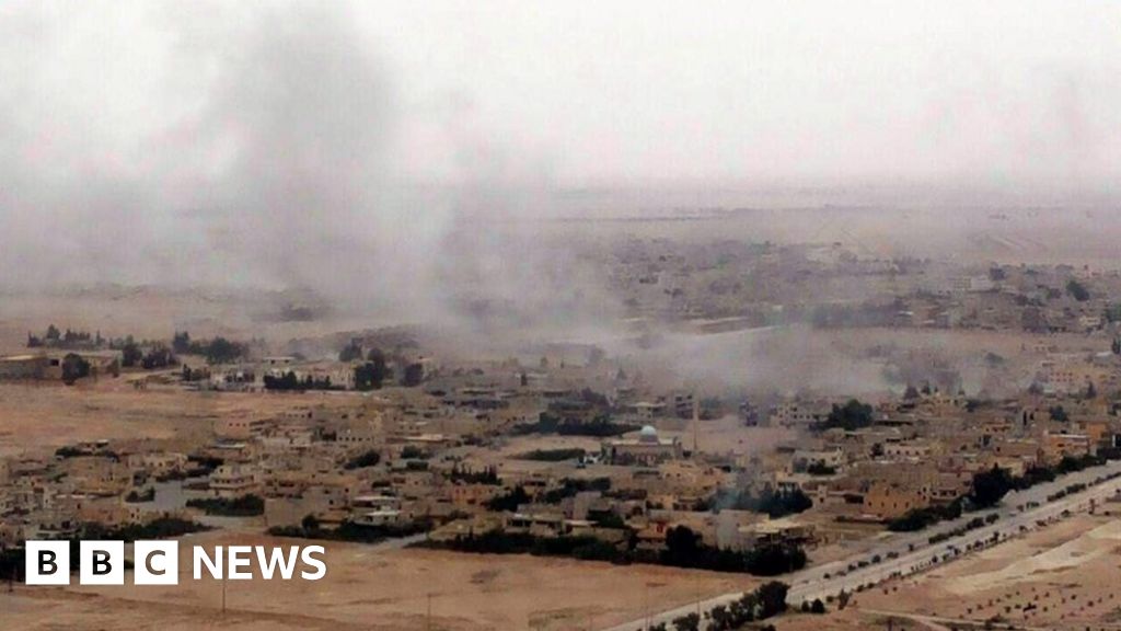 Syria government forces 'enter Palmyra'