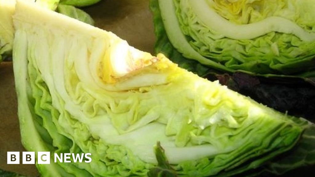 The trials and tribulations of a British cabbage farmer