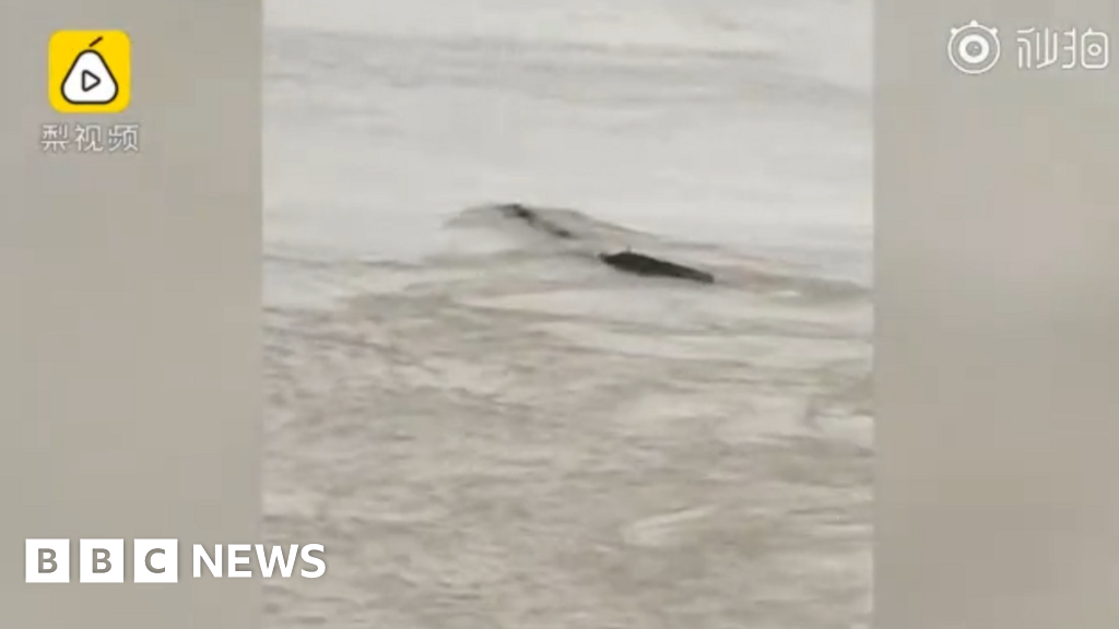 China gripped after sighting of its own 'Loch Ness Monster'