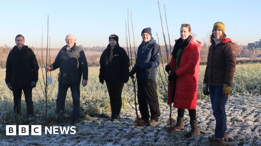 Warwick Council joins farmers to plant trees in their thousands BBC News