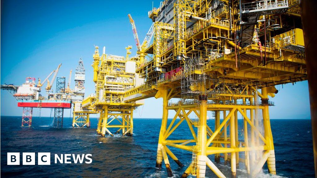 North Sea oil spills a wildlife threat – activists