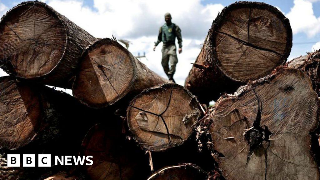 Países amazônicos estão aquém das metas acordadas para acabar com o desmatamento