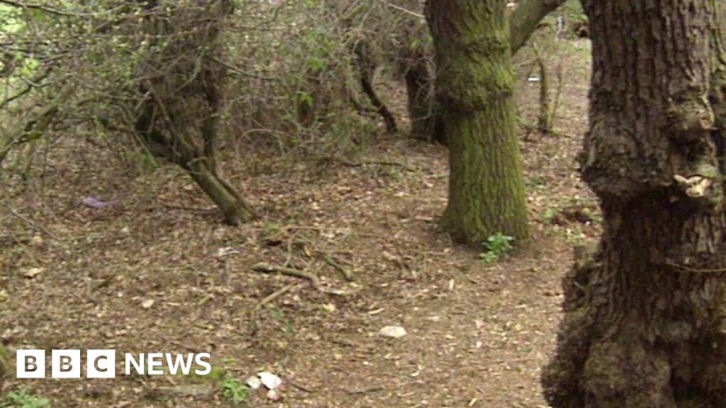 Baby Callum: Murder arrests over baby found in woods in 1998