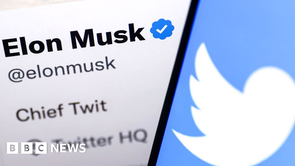 What next for Twitter under Elon Musk?