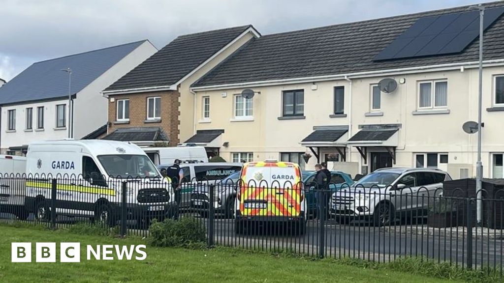 Dublin deaths 'being treated as murder-suicide'