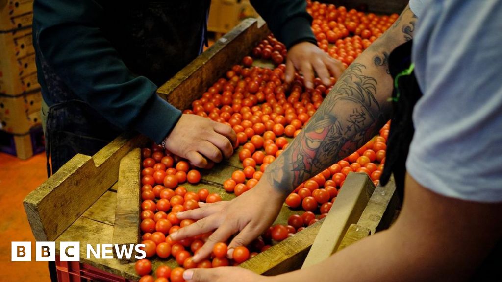 Trump’s Tariffs: How businesses around the world responded