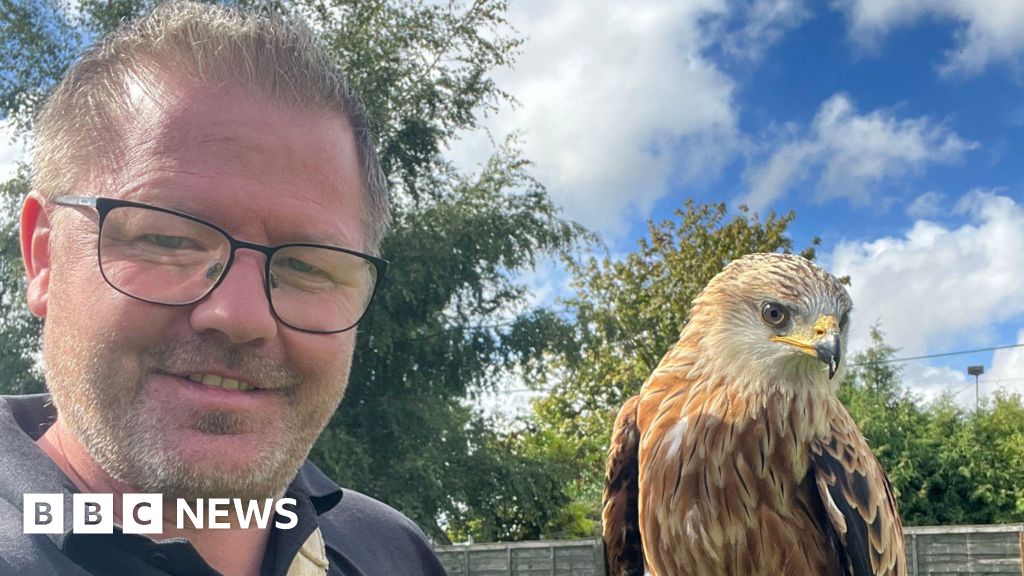 bbc.co.uk - Holly Phillips - Heat forces Lincolnshire bird of prey centre to cancel shows