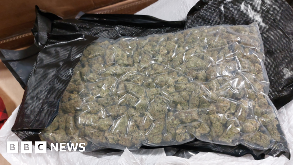bbc.co.uk - Scott Hesketh - Drug mules flooding north of England face tougher penalties