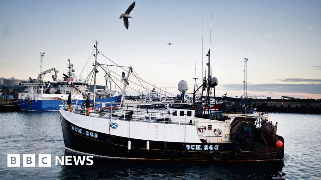 fishing-quotas-increased-after-annual-eu-talks-bbc-news