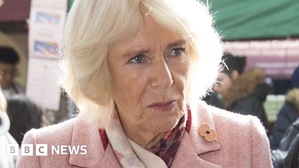 Camilla Pulls Out Of Remembrance Event With Chest Infection - BBC News