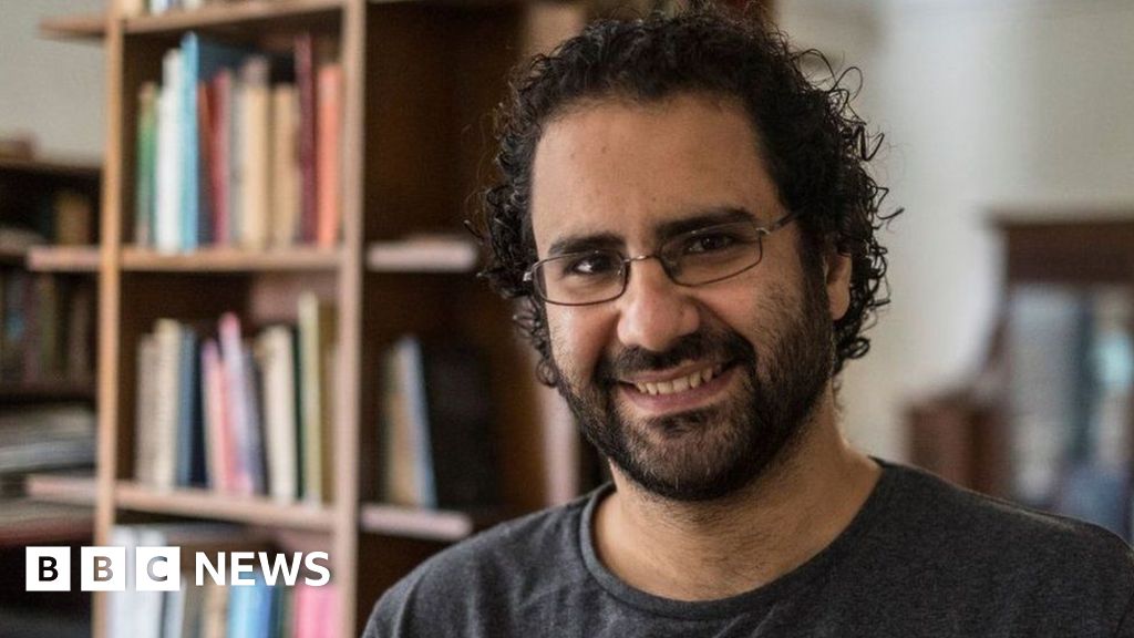 COP27: Jailed activist Alaa Abdel Fattah begins 'water strike'