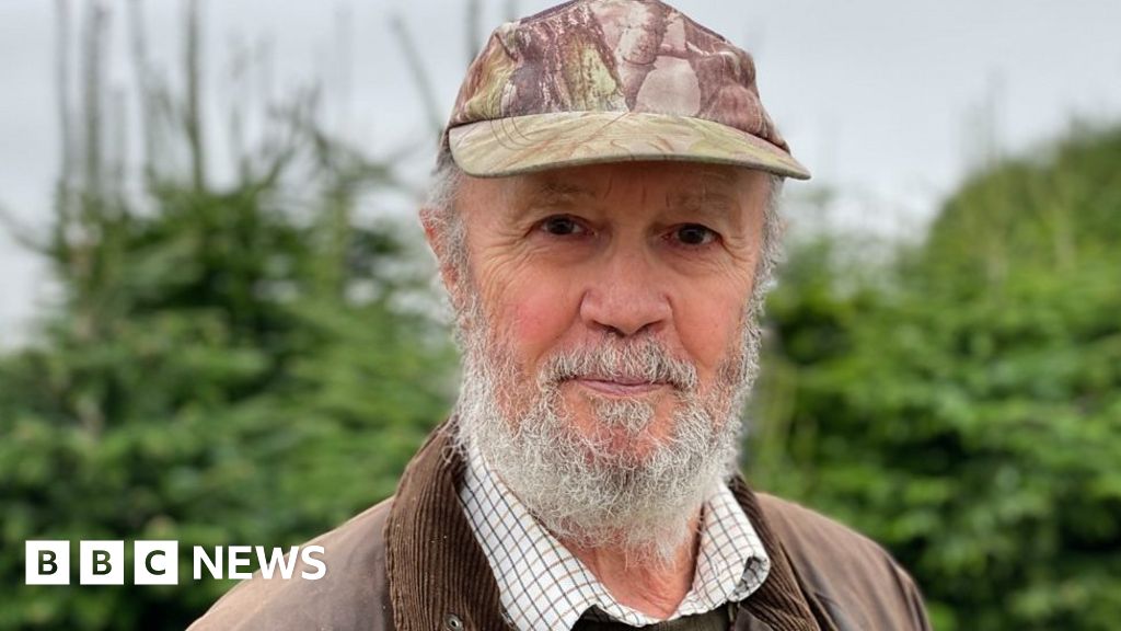 Kent Christmas tree grower says real trees make the festive period special BBC News