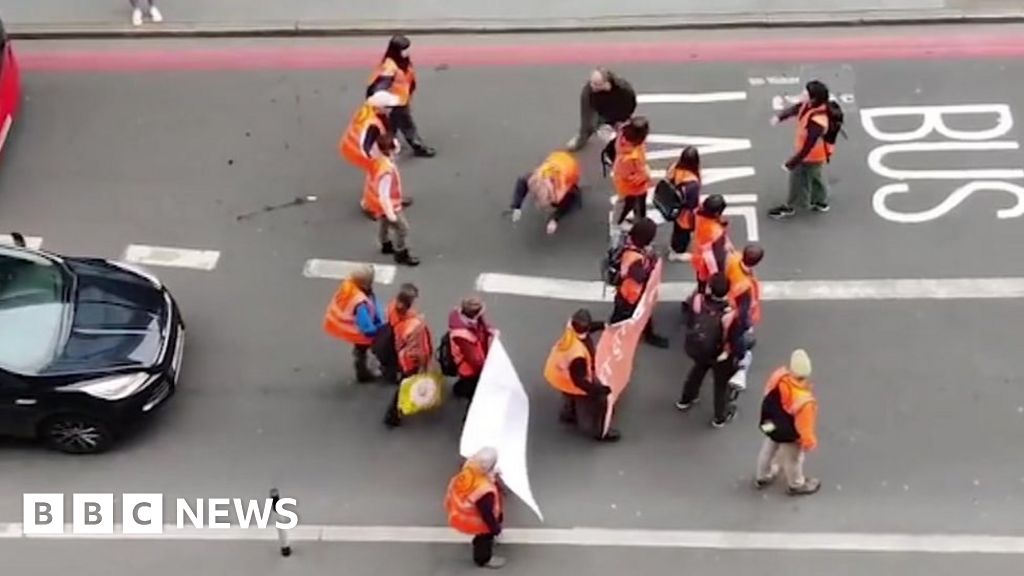 Just Stop Oil: Man pushes protester to the ground