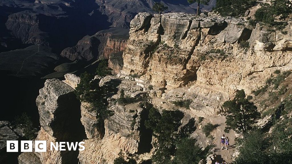 Момче оцеля при падане от 100 фута в Гранд Каньон, след като се измъкна от туристическа снимка
