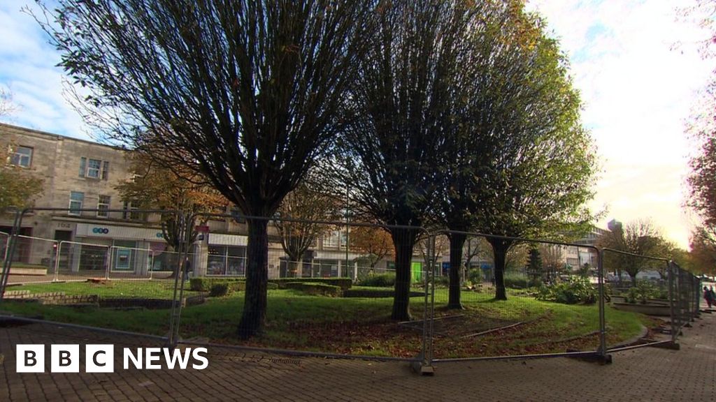 Plymouth Armada Way tree felling put on hold